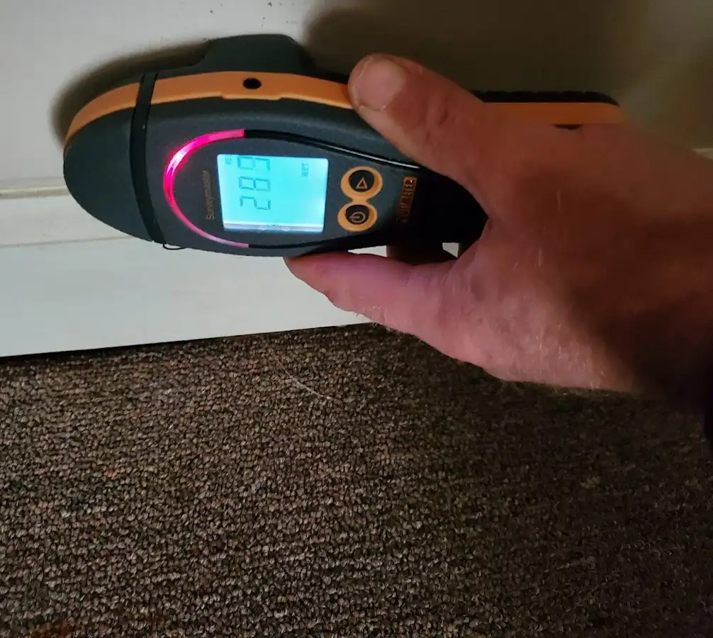 Moisture detection at baseboard during Mold Inspection & Testing in East Highland Park
